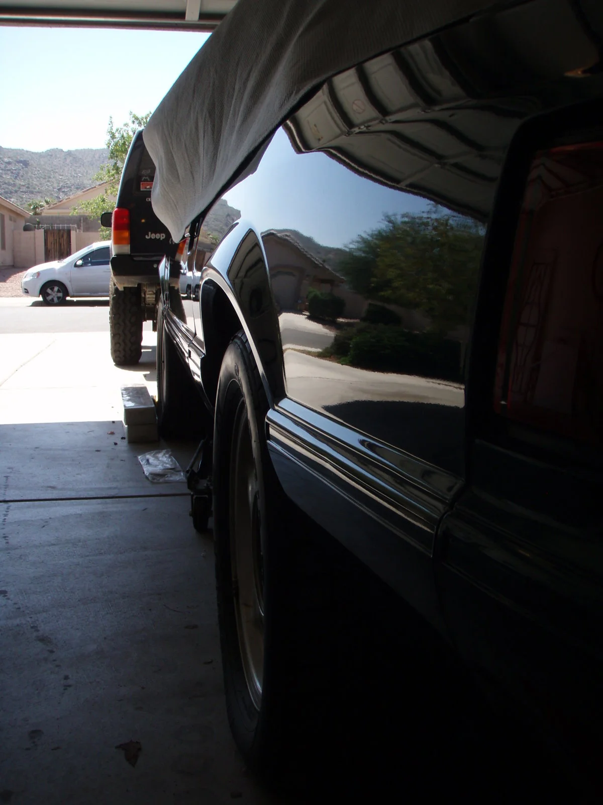 P10101961.webp