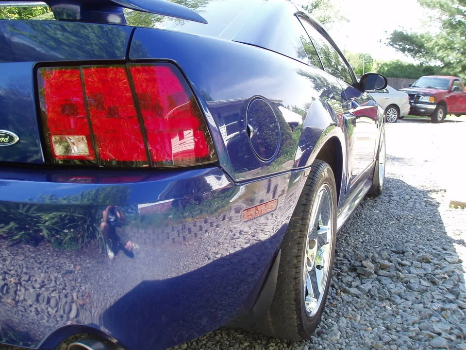 P1010243.webp