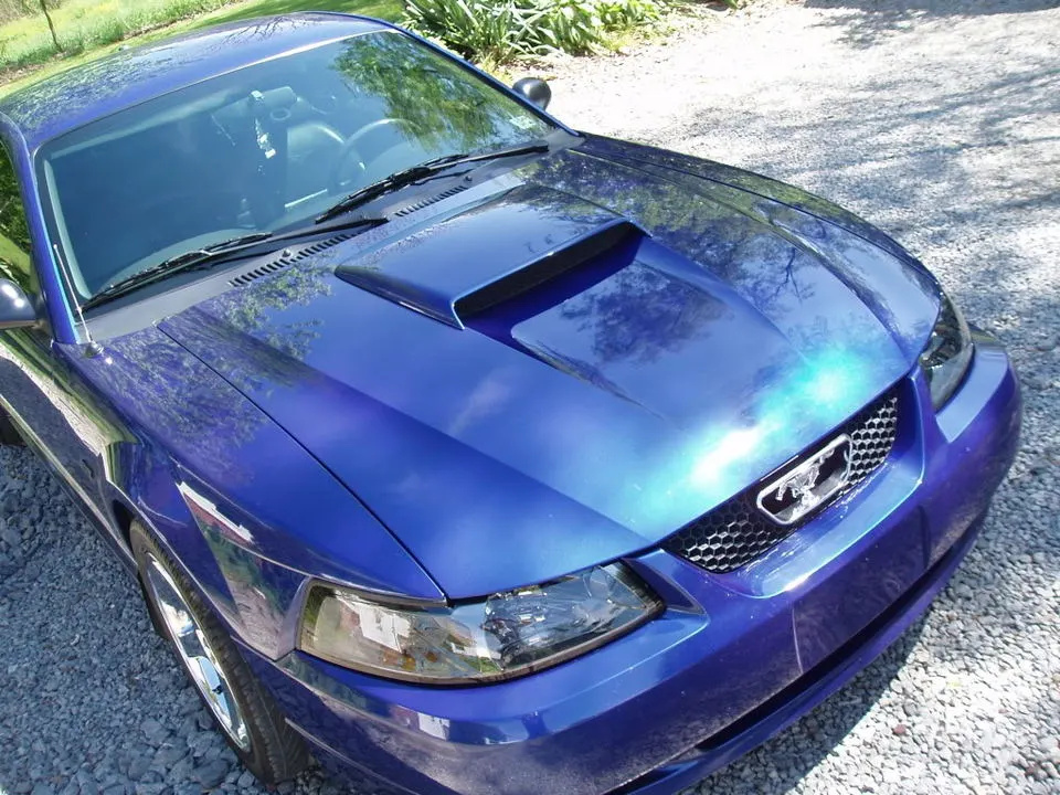 P1010244.webp