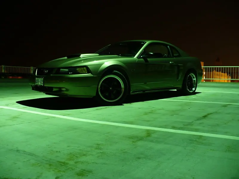 P1010323.webp