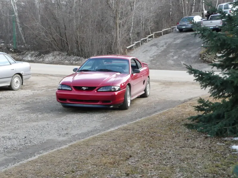 P1010401.webp