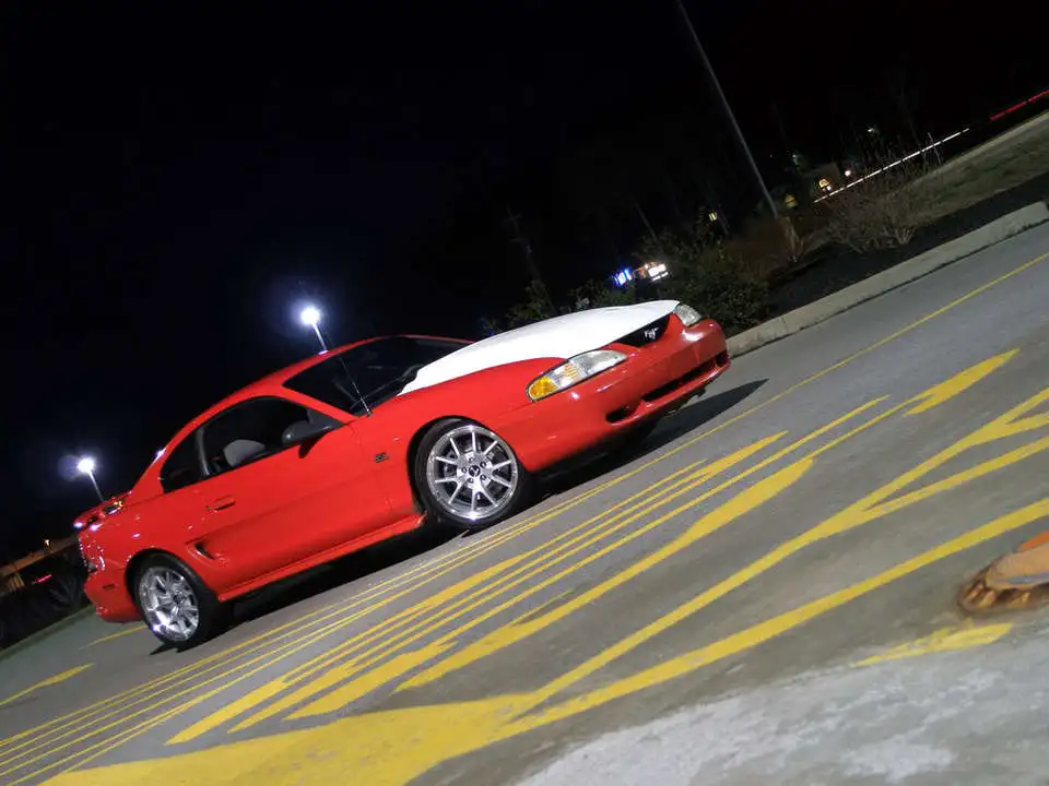 P1010731.webp