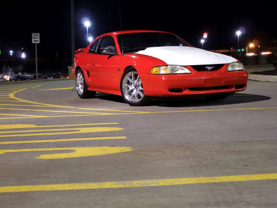 P1010732.webp