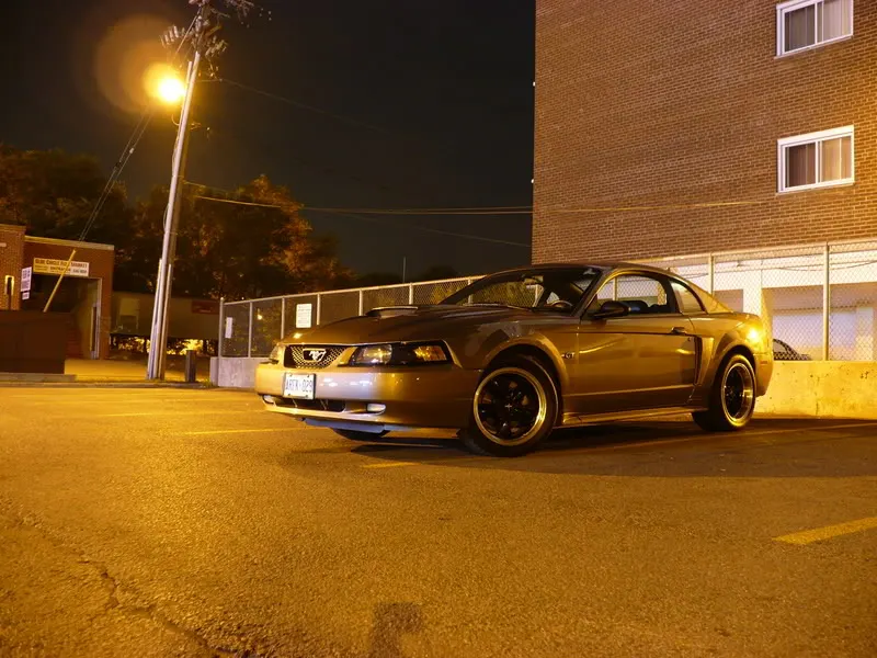 P1010938.webp