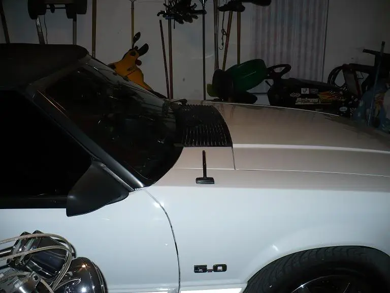 P1020308.webp