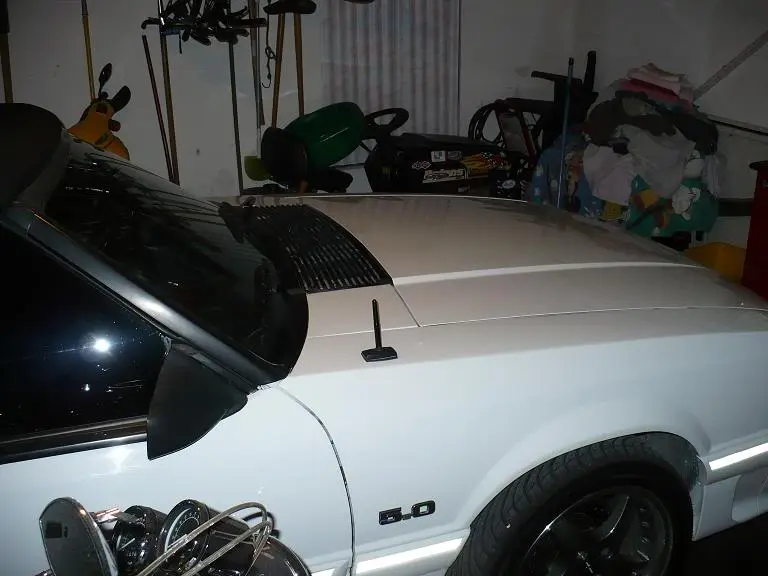 P1020310.webp