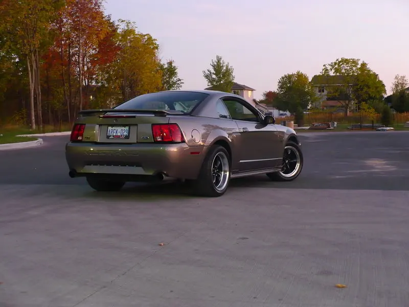P1020325.webp