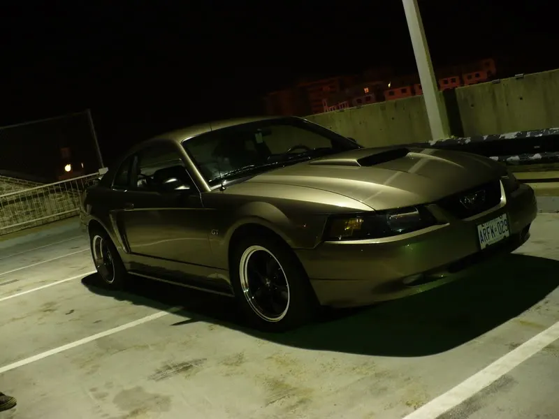 P1020496.webp