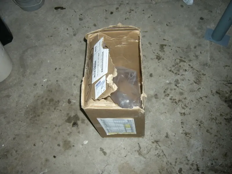 P1020520.webp