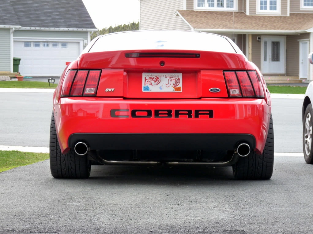 P1020522.webp