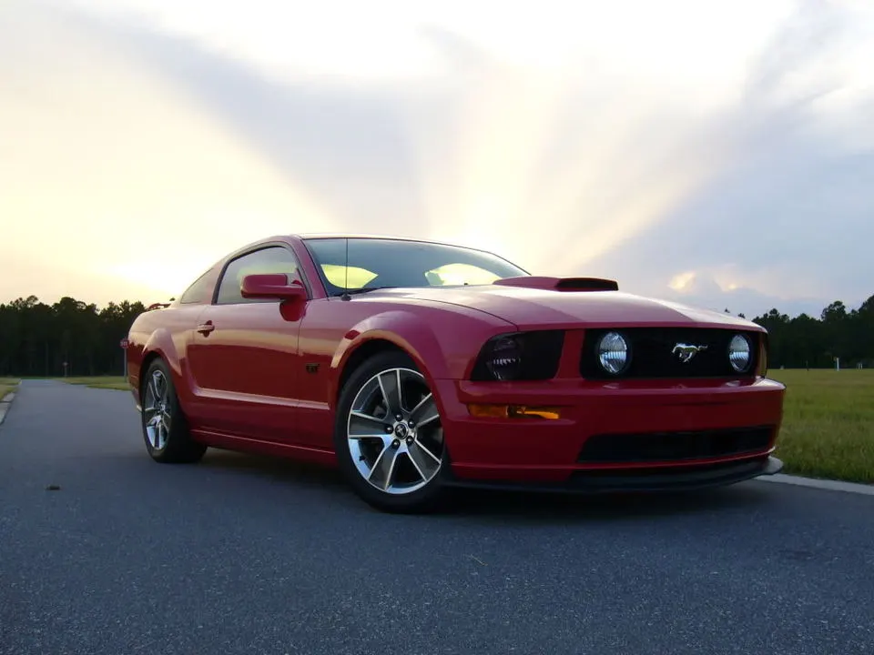 P1020694.webp