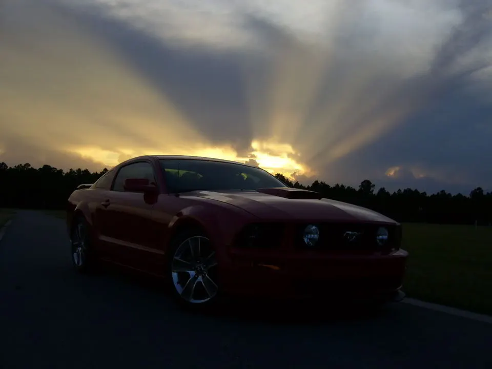 P1020696.webp