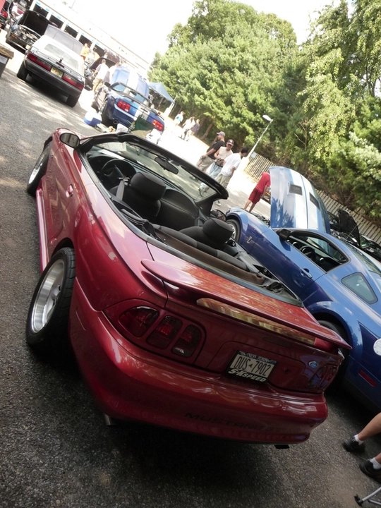 p1020815f.webp