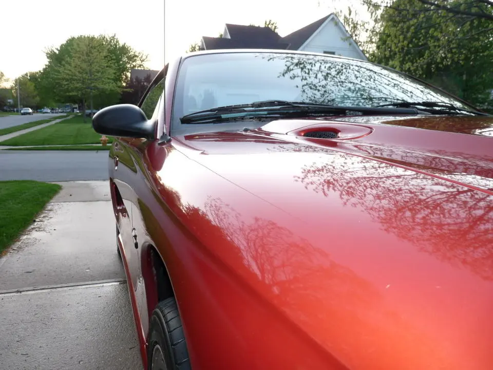 P1030443.webp