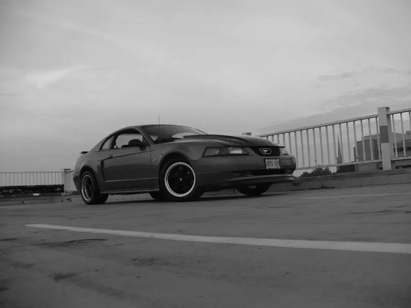 P1030521-1.webp