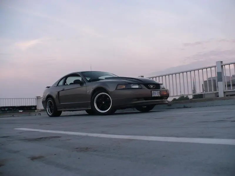 P1030521.webp