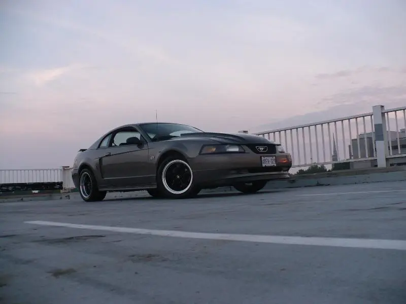 P1030522-1.webp
