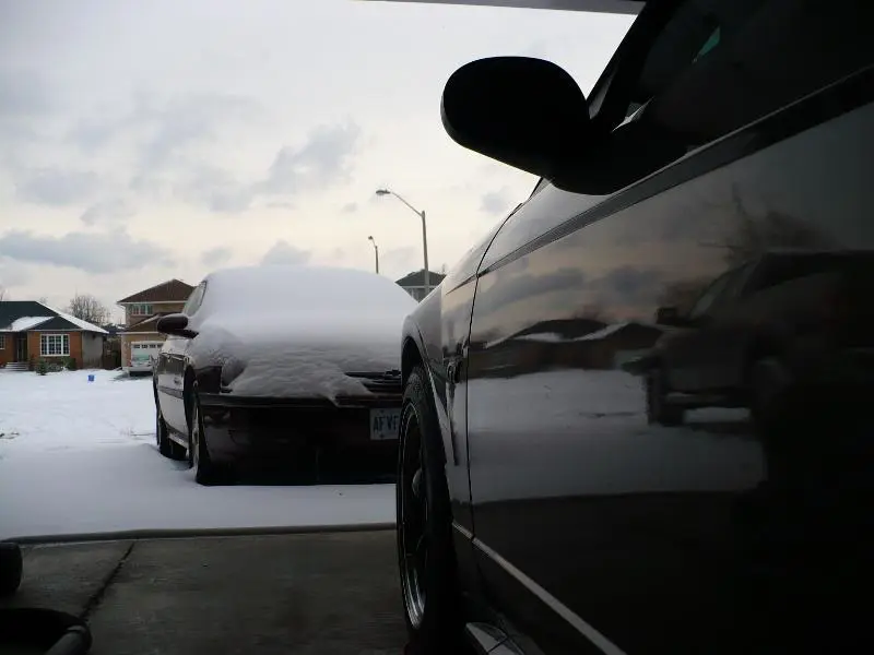 P1030911.webp