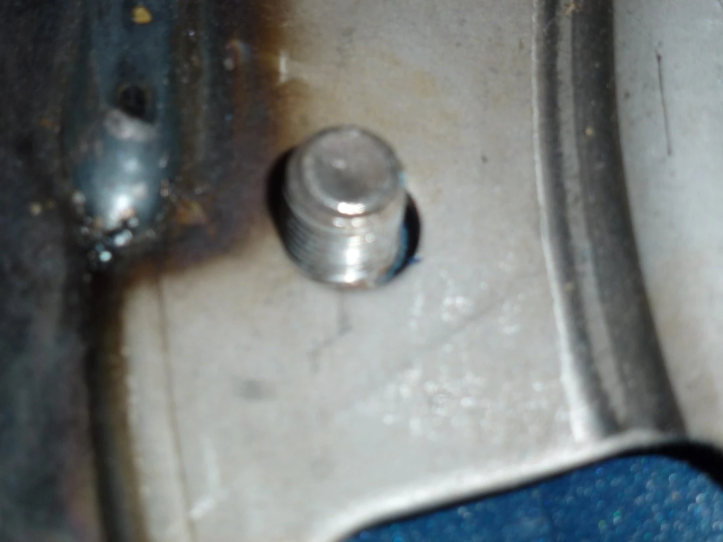 P1050916 (Large).webp