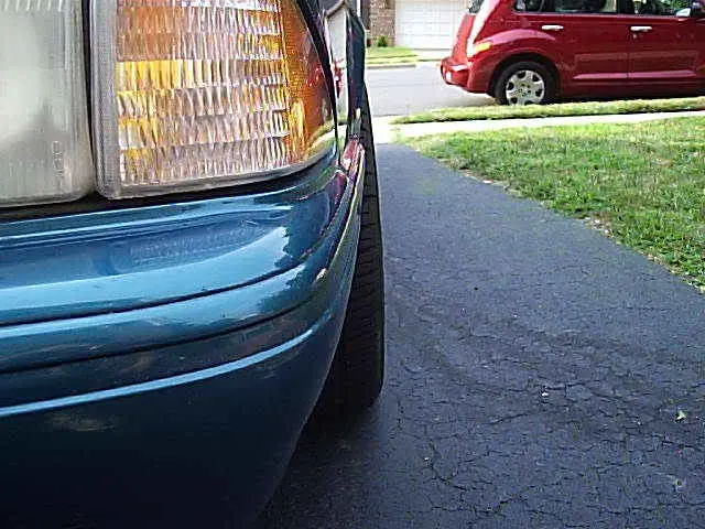 P1110029.webp