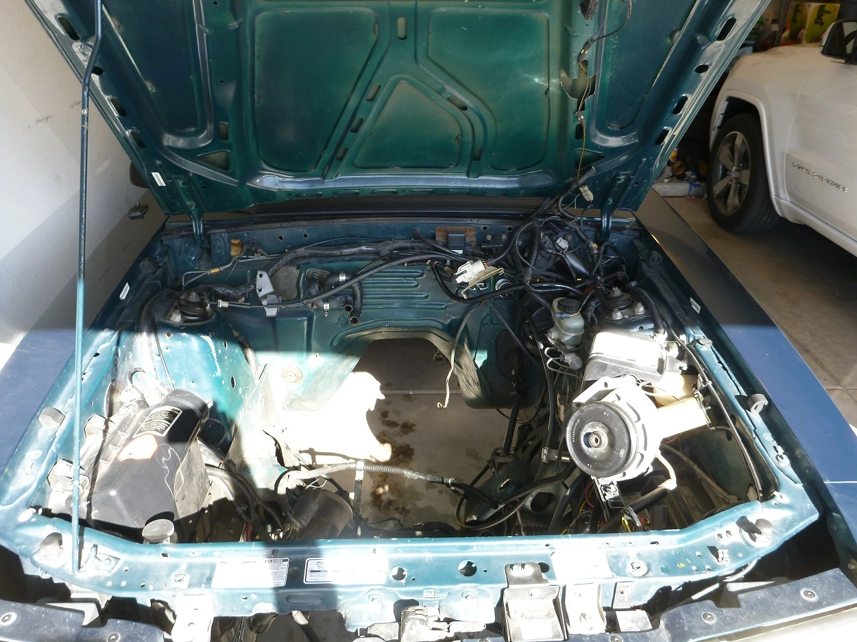 P1130610.webp