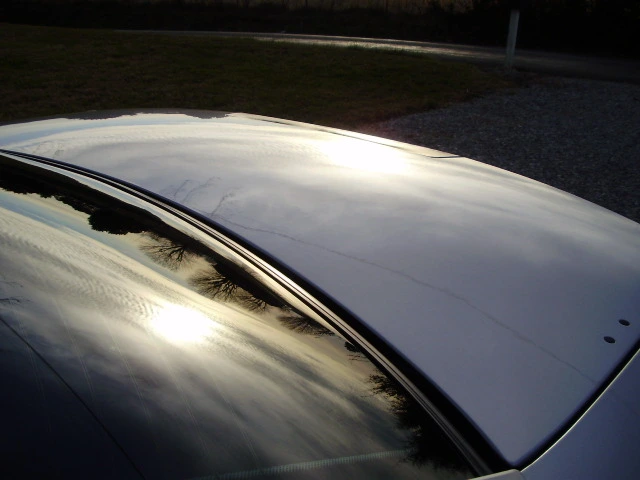 P1150116.webp