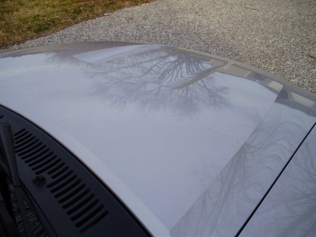 P1150120.webp
