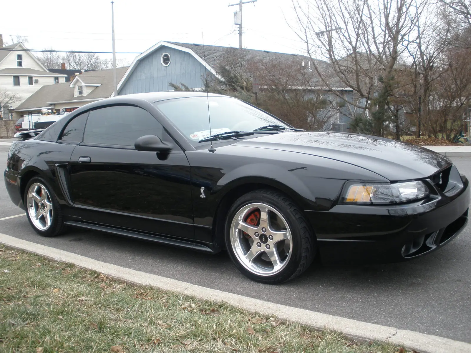 P1191718.webp