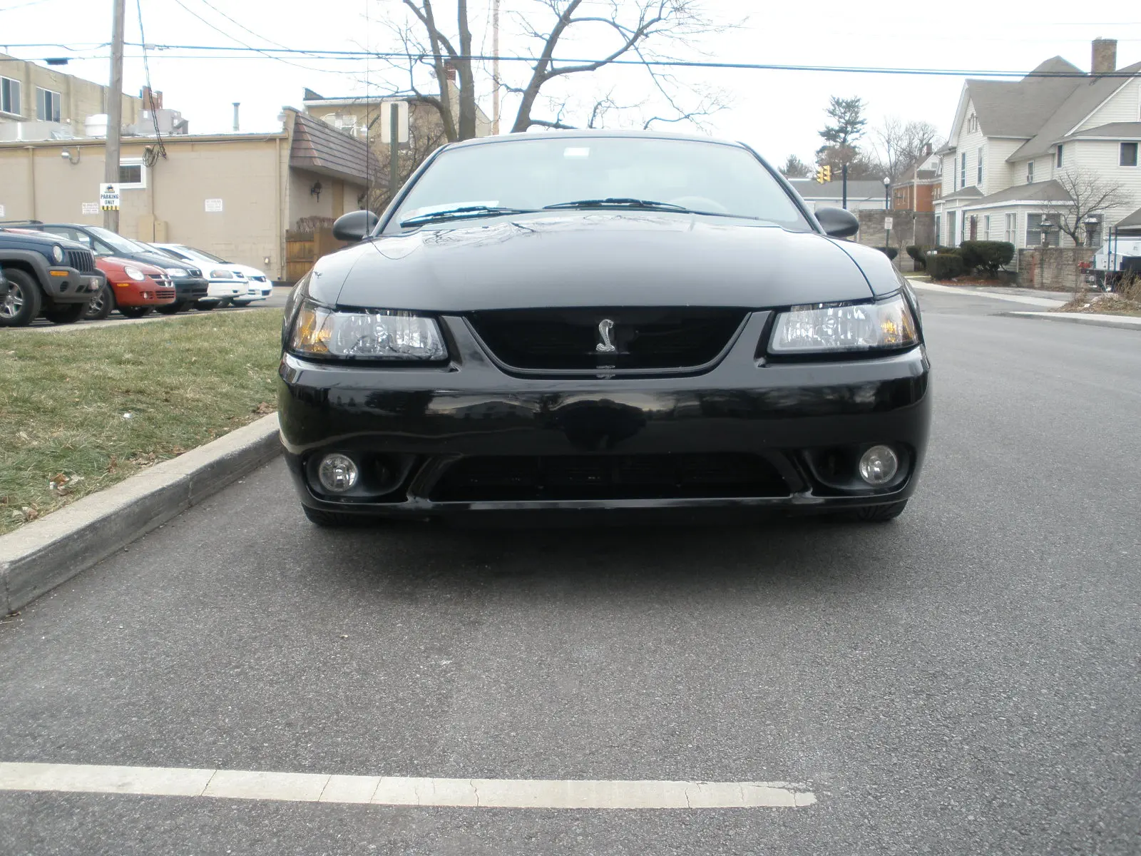 P1191719.webp
