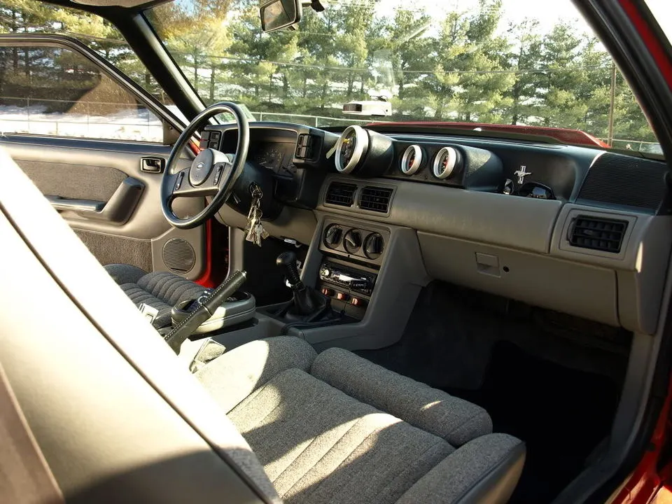 P2211974.webp