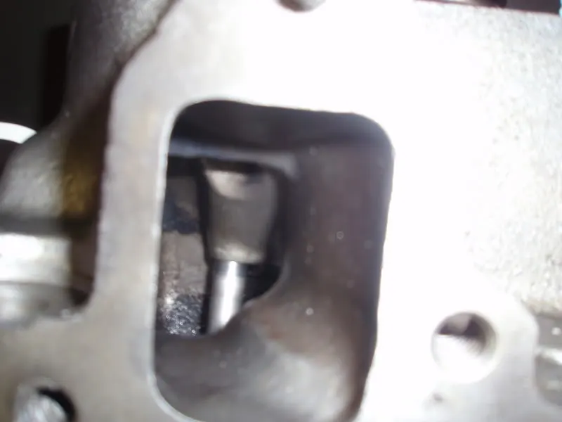 P2260003.webp