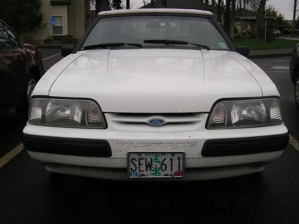 P3100300.webp