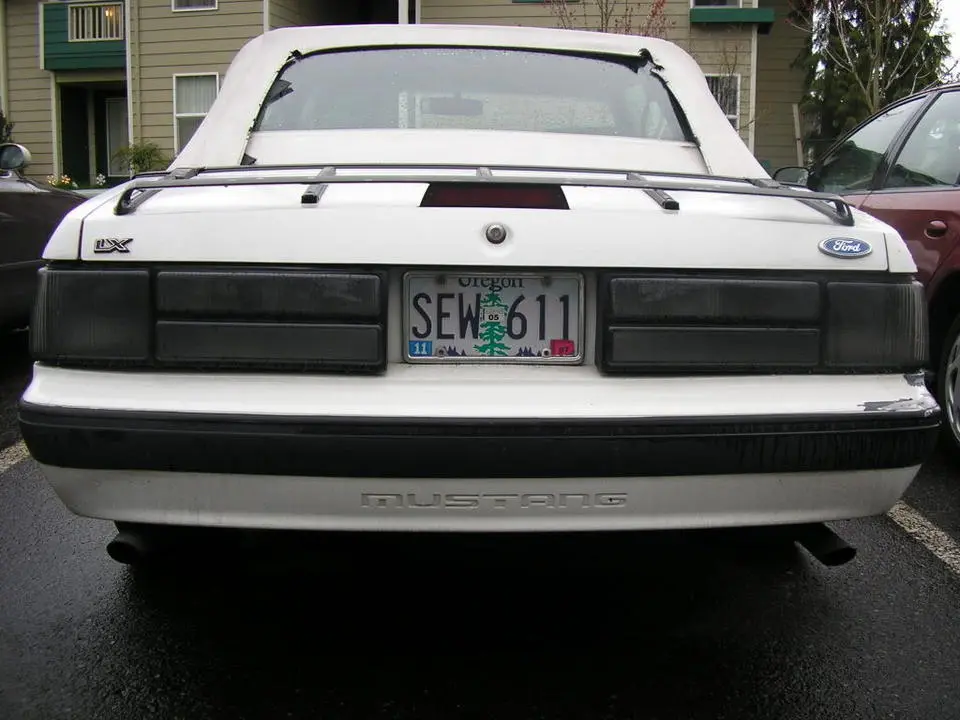 P3100301.webp
