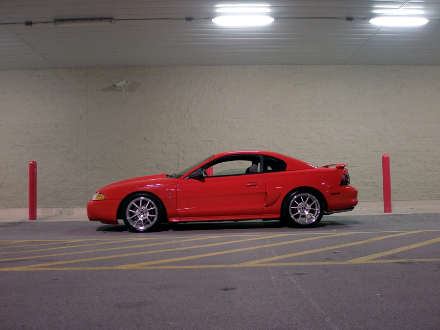 p3141298.webp