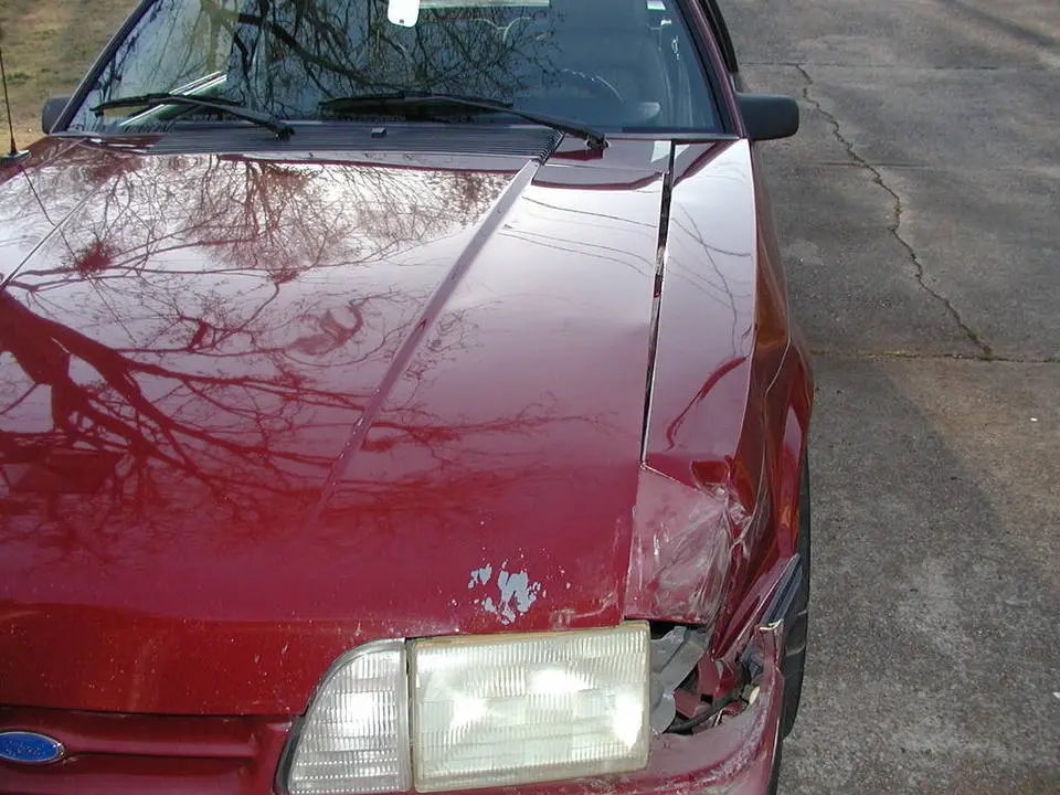 P3220003.webp