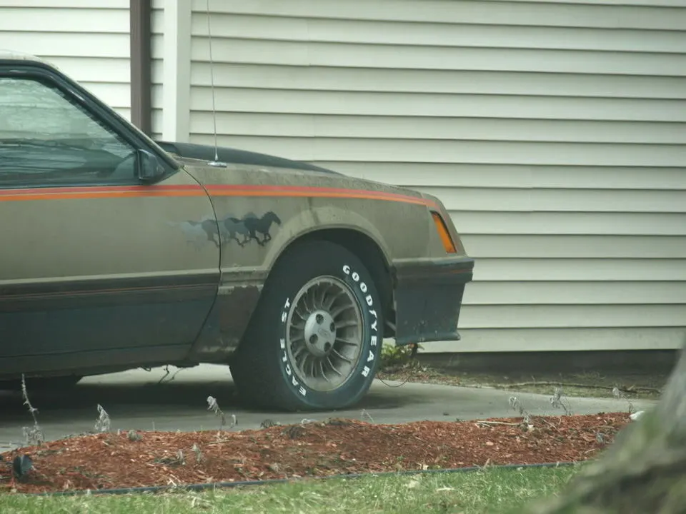 P4062821.webp