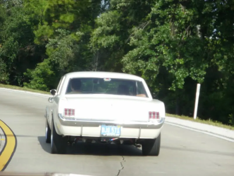 P4151169.webp