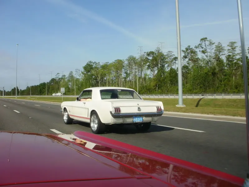 P4151173.webp