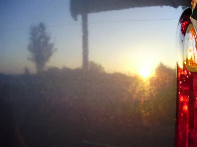 P4180035.webp