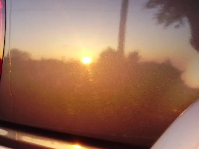 P4180038.webp