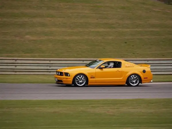 P4180864_Large_.webp