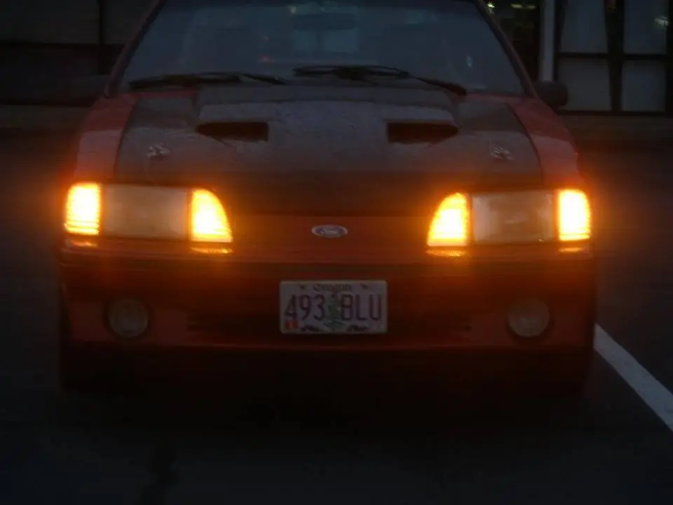 P4200051.webp