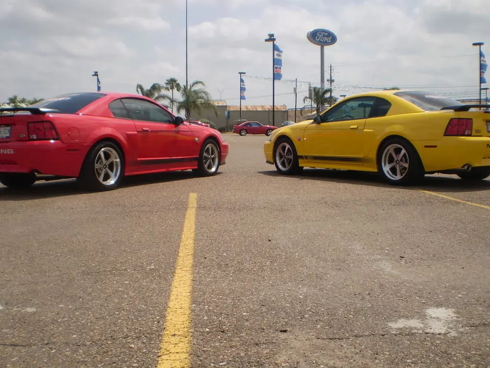 P4200268.webp