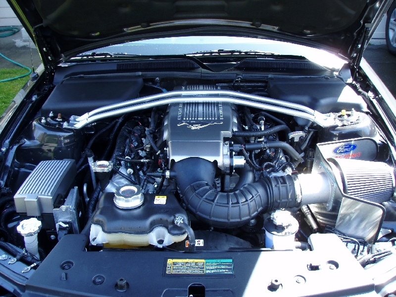 P4200422.webp