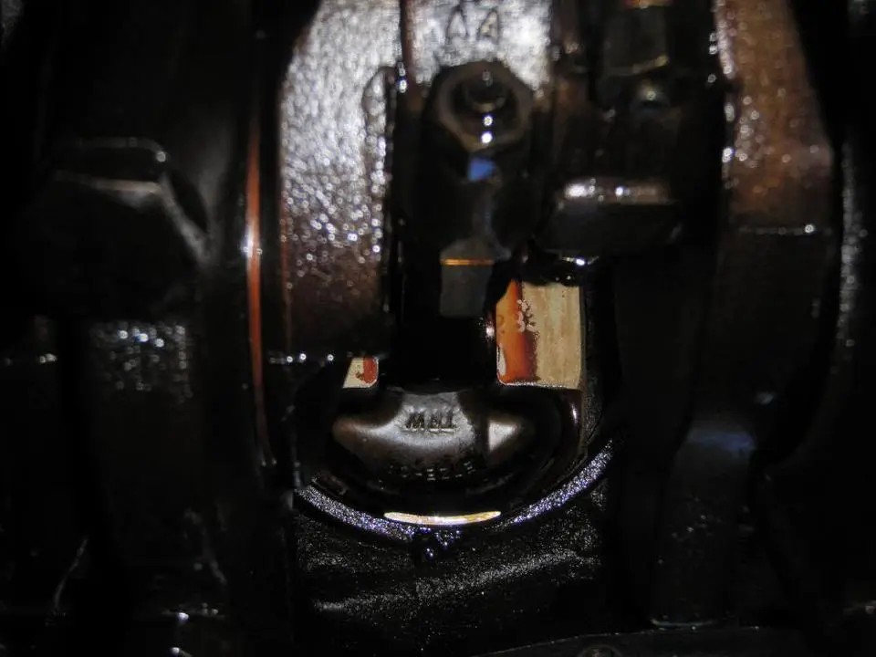 P4210085.webp