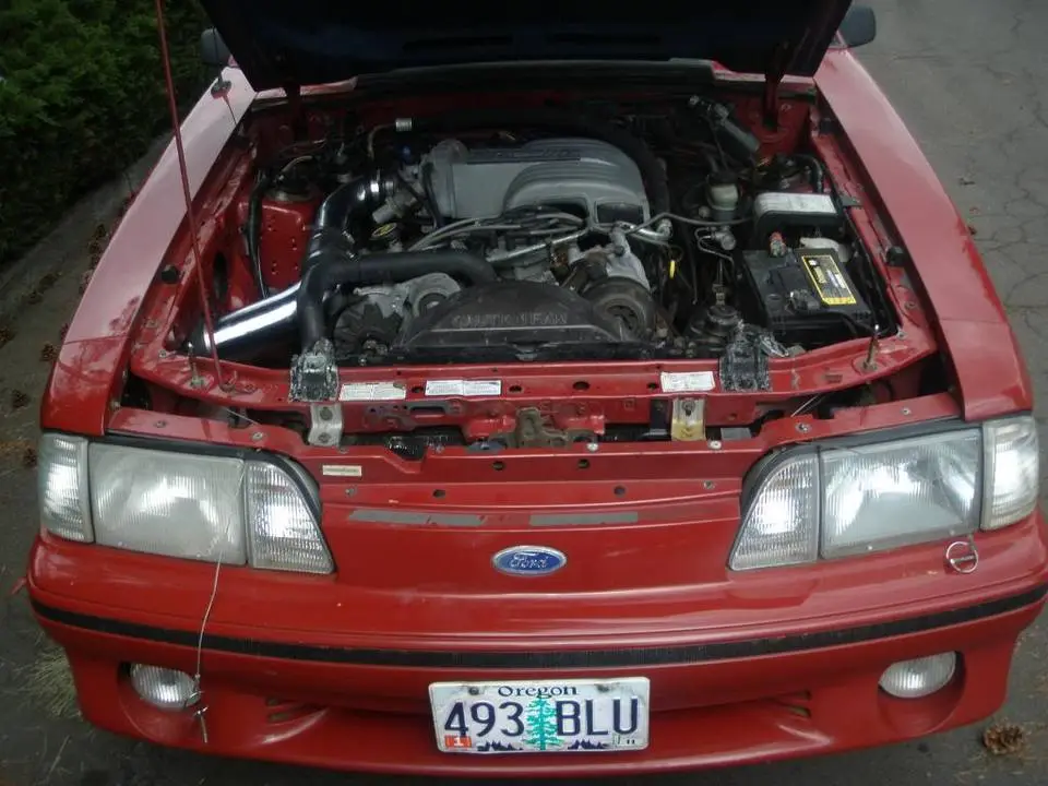 P4220061.webp