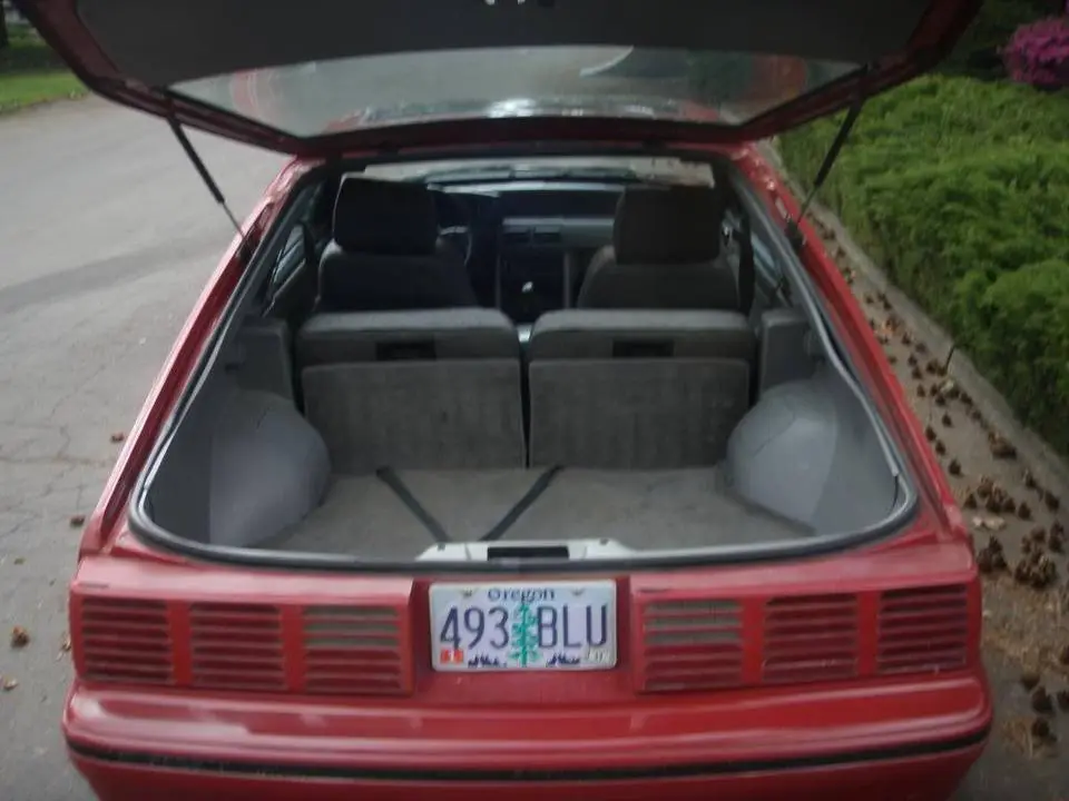 P4220064.webp