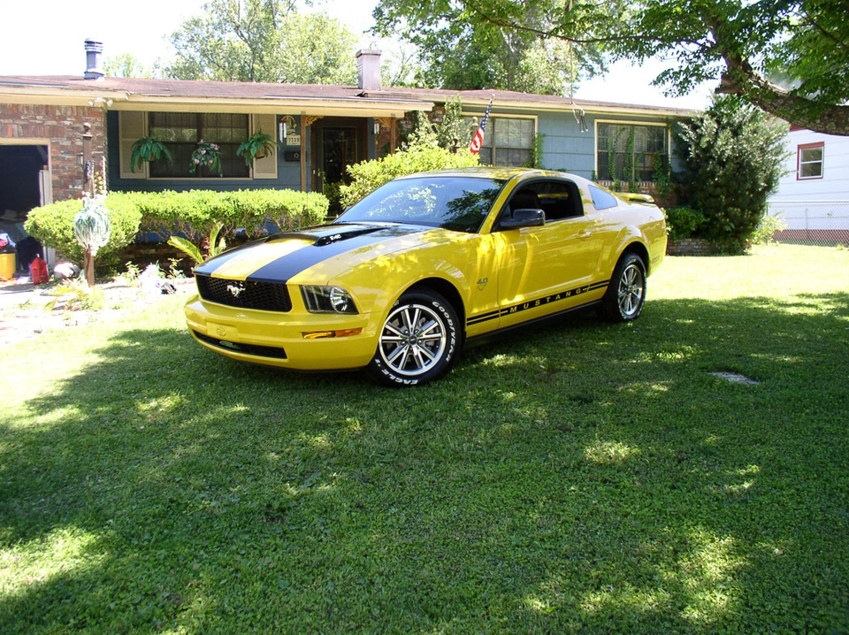 P4240080-1024.webp