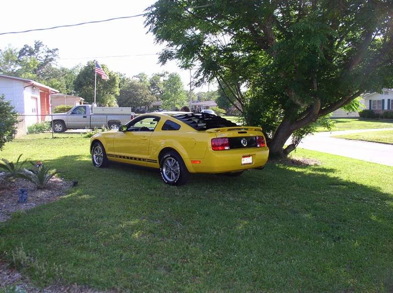 P5130080b-800.webp