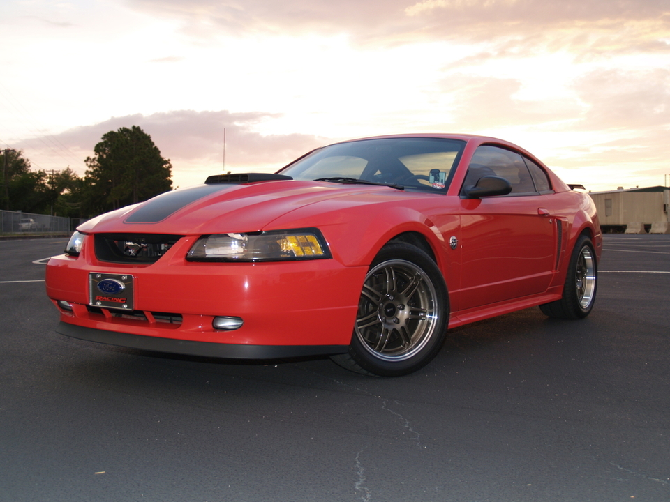 p5145228.webp